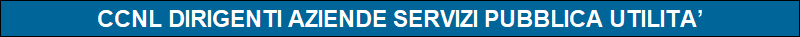 CCNL DIRIGENTI AZIENDE SERVIZI PUBBLICA UTILITA�