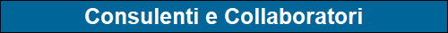Consulenti e Collaboratori