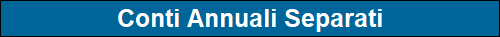 Conti Annuali Separati
