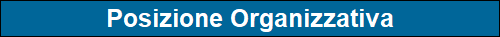 Posizione Organizzativa